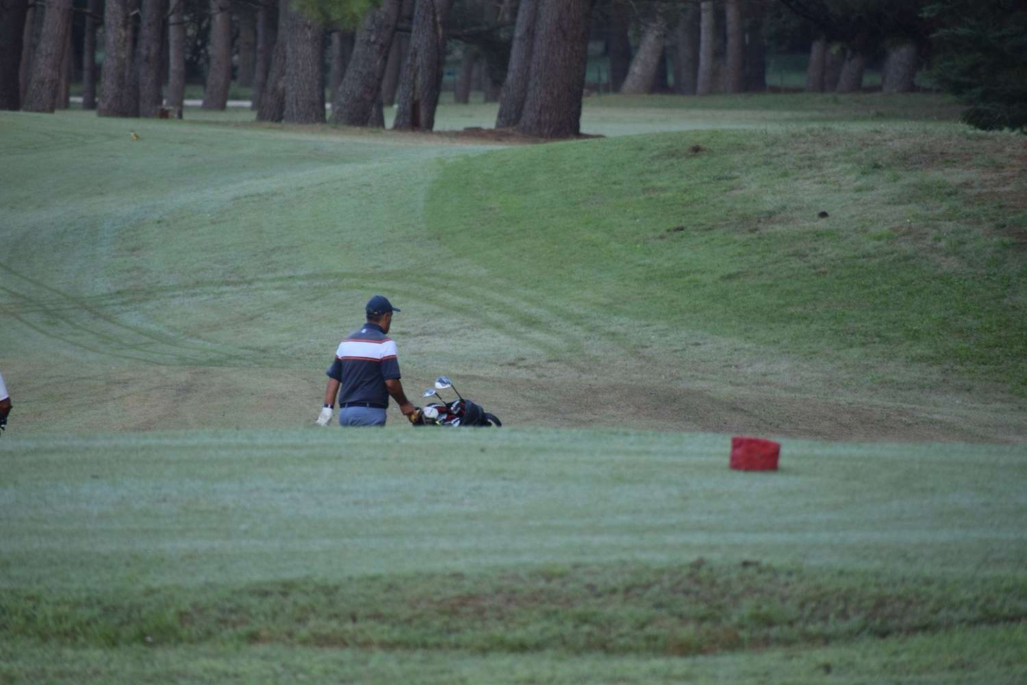 Golf: el club necochense albergará el Nacional de Menores en marzo