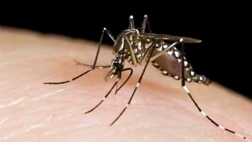 Investigan posible caso de dengue en San Cayetano