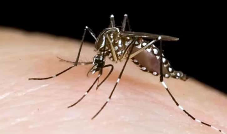 Confirman caso positivo de dengue en San Cayetano