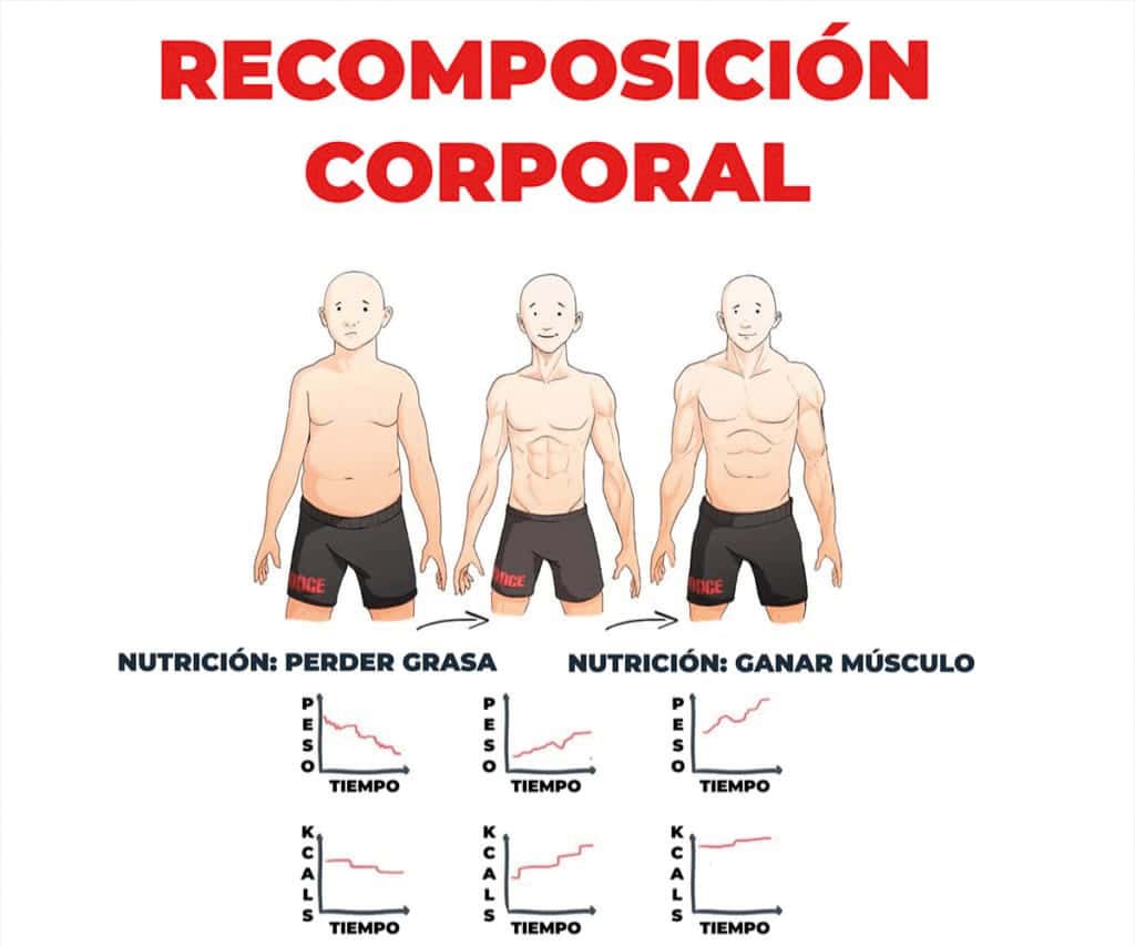 Recomposición corporal: un concepto diferente en salud
