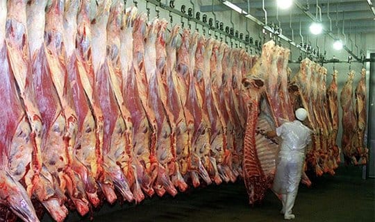 Exportación de carne y anuncio postergado