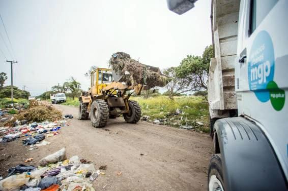 Retiraron más de 80 toneladas de residuos de Parque Peña