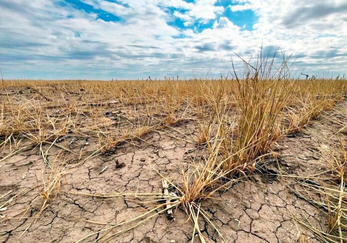 Sequía: 13 partidos declararán la emergencia agropecuaria