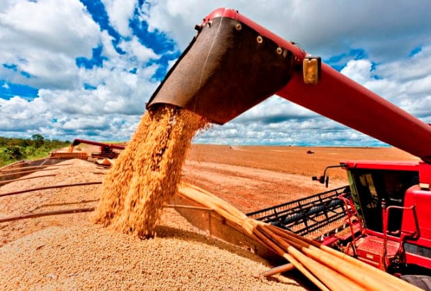 La sequía que ha generado perdidas de stock disponible de granos