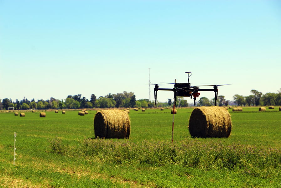 Usan drones para cuantificar la calidad del cultivo de alfalfa