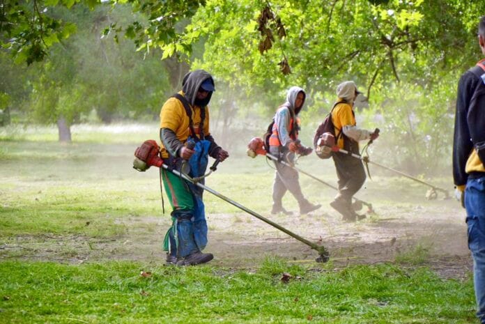 Un equipo de la municipalidad de La Plata corta el pasto como medida de prevención para combatir la proliferación de mosquitos.