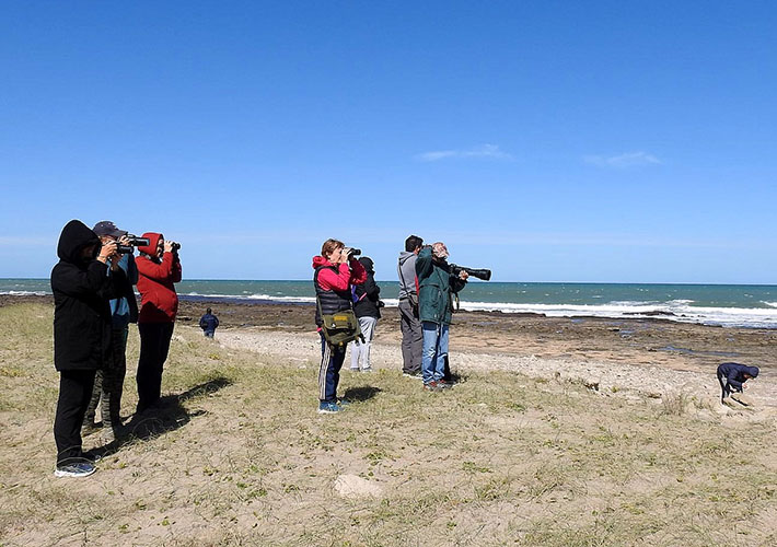 Realizan en Lobería un taller de avistamiento de aves