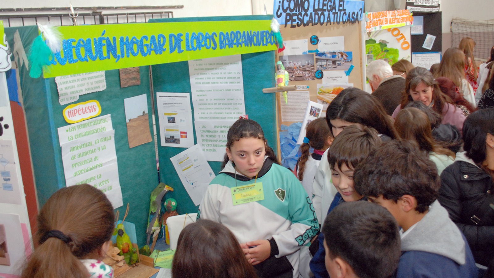 Más de 40 proyectos escolares en la Feria Distrital de Ciencias – Ecos ...